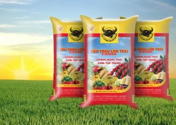 Công Ty Phân Bón Bình Điền: 50 năm góp phần phát triển nông nghiệp bền vững nhà nông