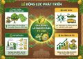 Lễ hội Sầu riêng Đắk Lắk 2026: Động lực mới cho kinh tế nông nghiệp và du lịch