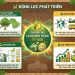 Lễ hội Sầu riêng Đắk Lắk 2026: Động lực mới cho kinh tế nông nghiệp và du lịch