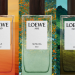  Top 3 mùi hương Elixir đình đám trong bộ sưu tập Landscape của LOEWE 